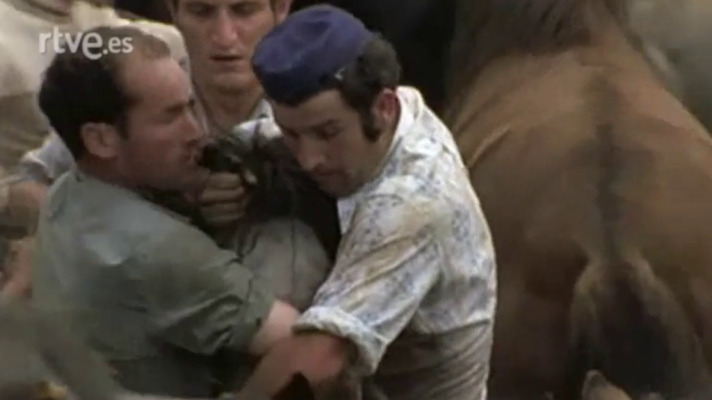 Raíces - A rapa das bestas