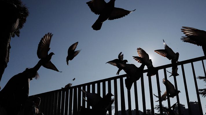 Temperaturas significativamente bajas en zonas del interior de la mitad este peninsular