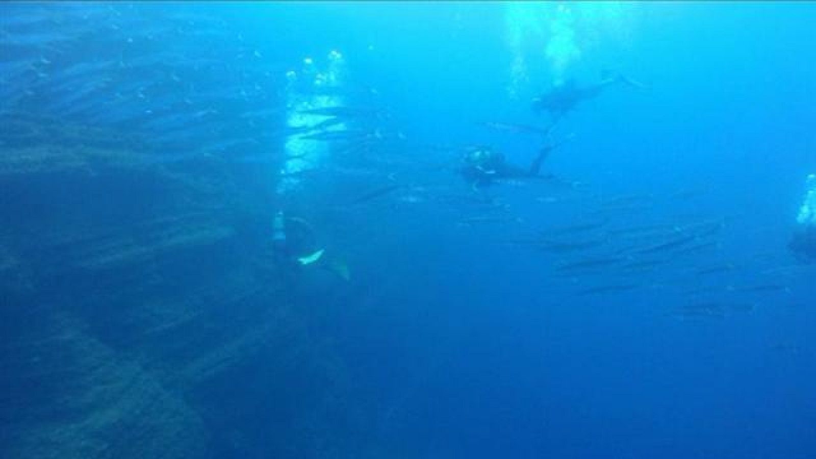 Telecanarias - 07/12/2017