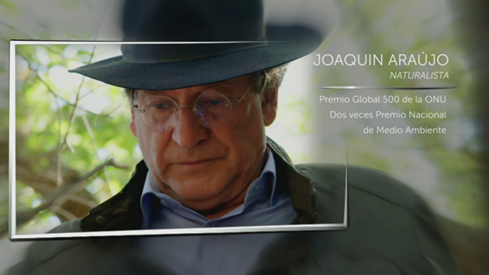El señor de los bosques - Joaquín Araújo - ver ahora