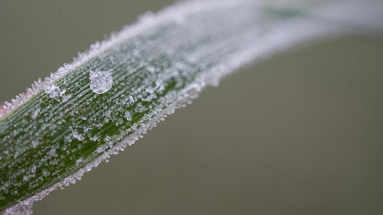 El Tiempo en la Comunidad de Madrid - 11/12/17