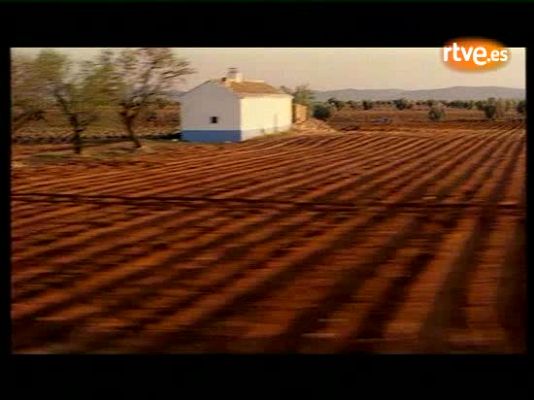 Informe semanal - Todo sobre Almodóvar: El director compite en Cannes por primera vez | Ver