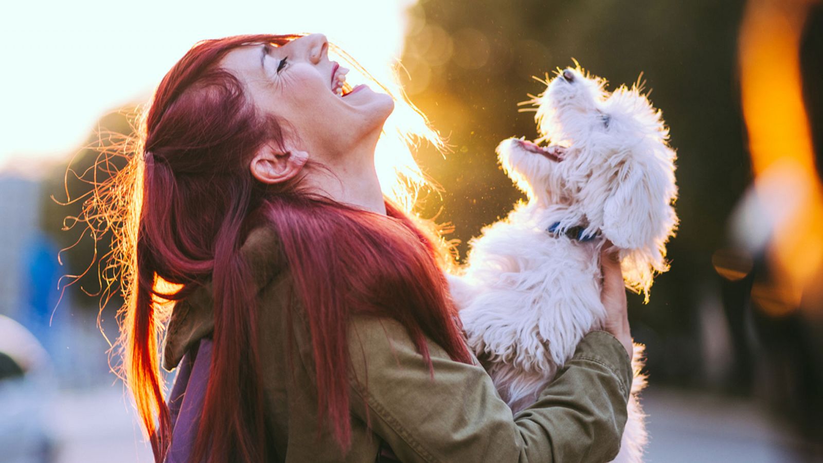 Las mascotas pasarán a tener estatus jurídico de "seres vivos dotados de sensibilidad"