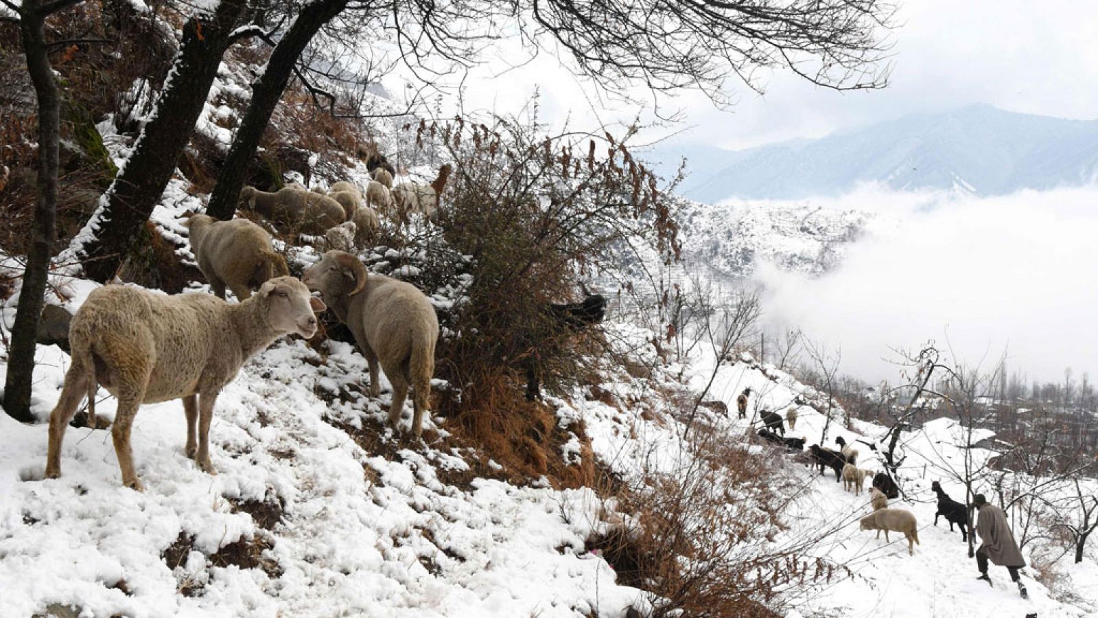 El tiempo: Lluvias en el noroeste peninsular y nuboso en el resto del país | RTVE Play