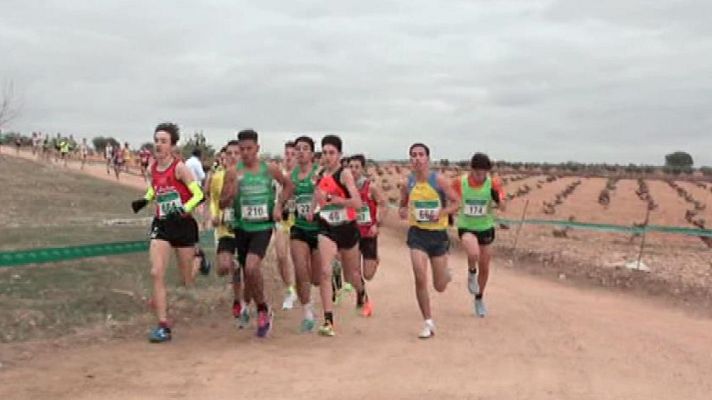 Cross - Nacional Castellano-Manchego. Resumen
