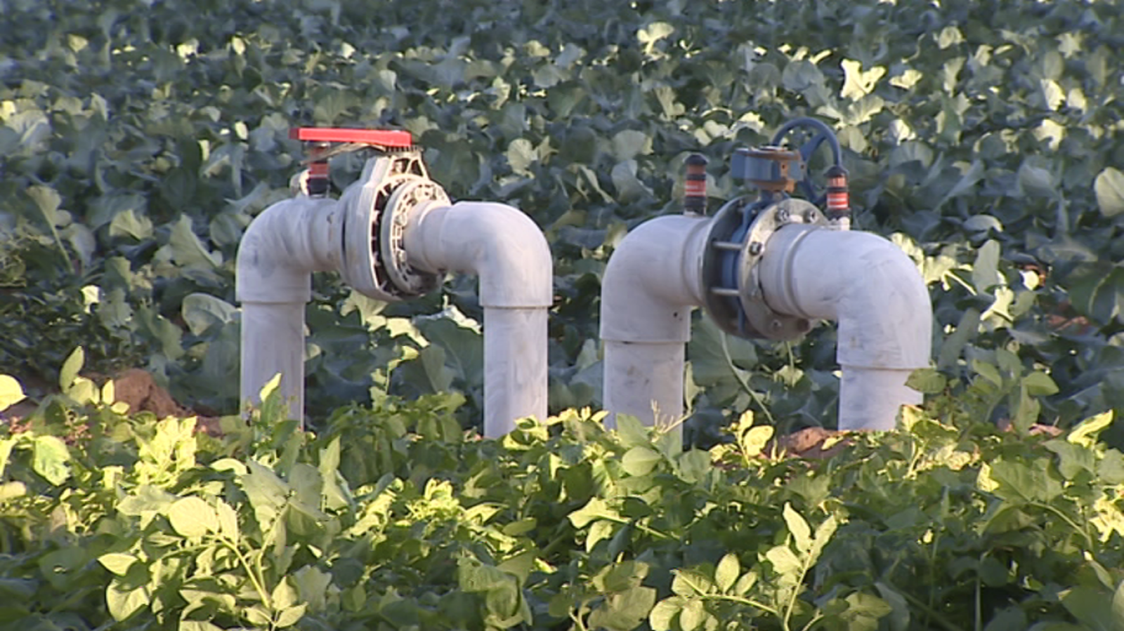 España en 24 horas - 14/12/17 - ver ahora