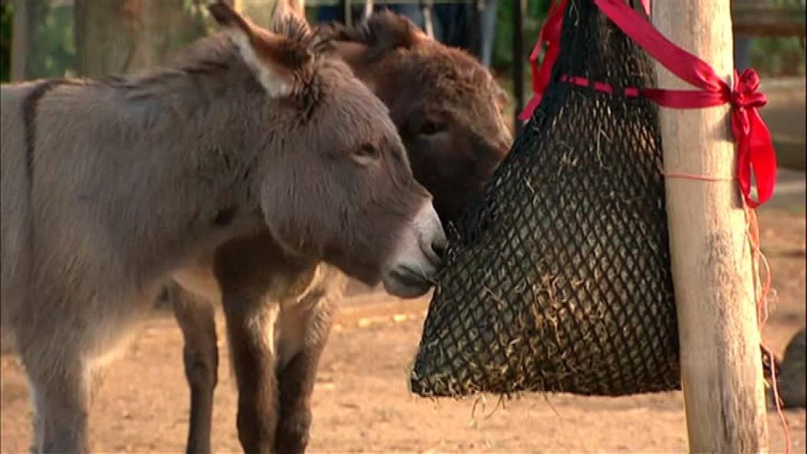 La 2 Noticias - 14/12/17 - ver ahora