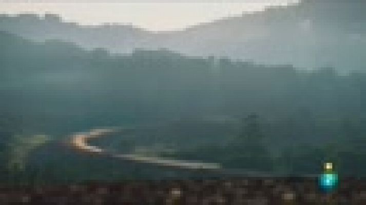 Días de cine - 'Una especie de familia'