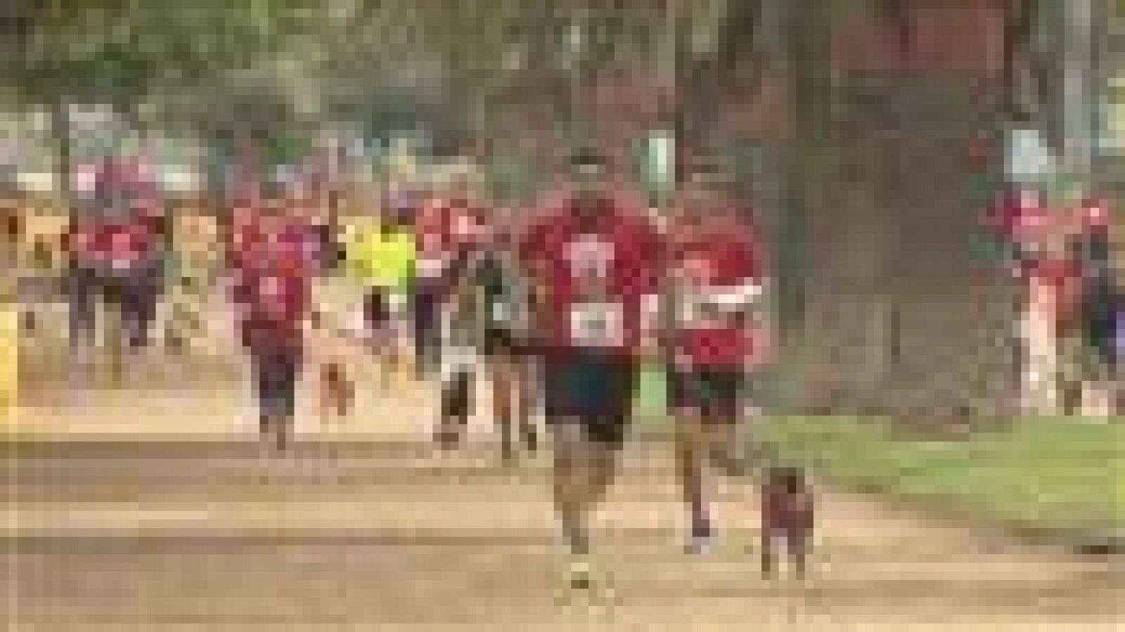 Telecanarias - 16/12/2017