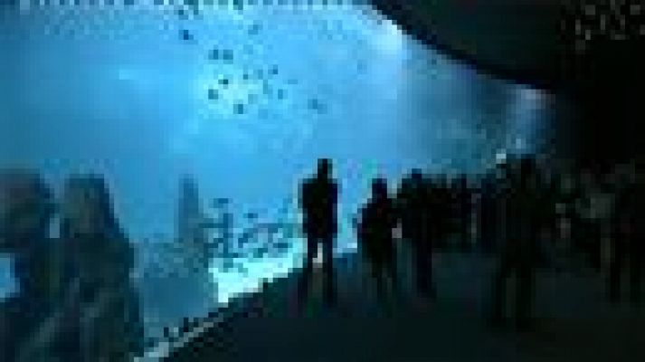 Cerca de ti - Cerca de ti - 18/12/2017