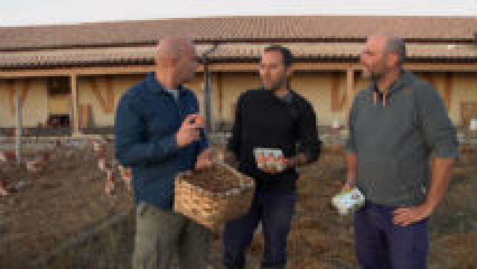 Lo que hay tras un huevo ecológico