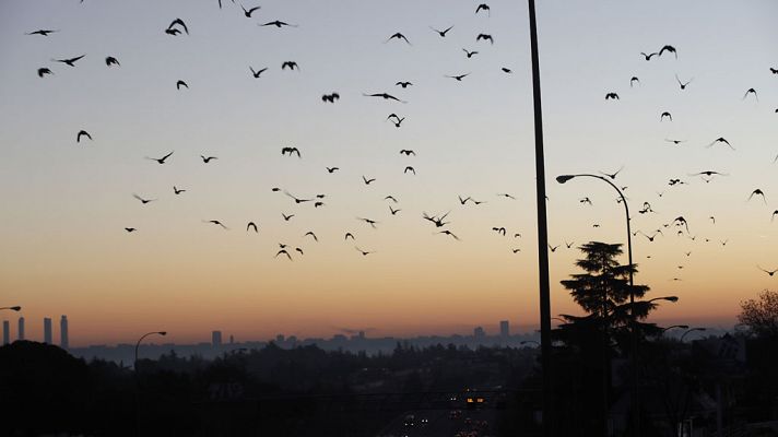 Informativo de Madrid - El Tiempo en la Comunidad de Madrid - 19/12/17