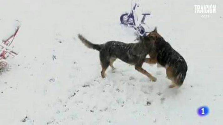 Aquí la Tierra - La tradición del ramo leonés