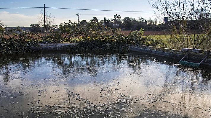 Informativo de Madrid - El Tiempo en la Comunidad de Madrid - 21/12/17