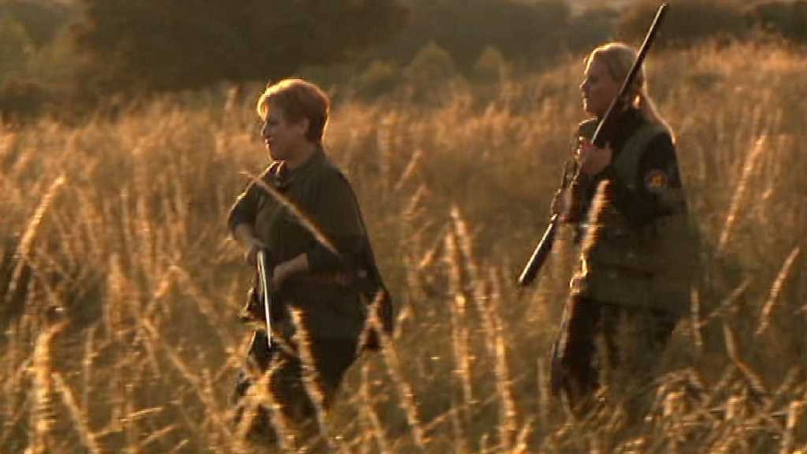 Jara y sedal - Jornada de campeonas - ver ahora