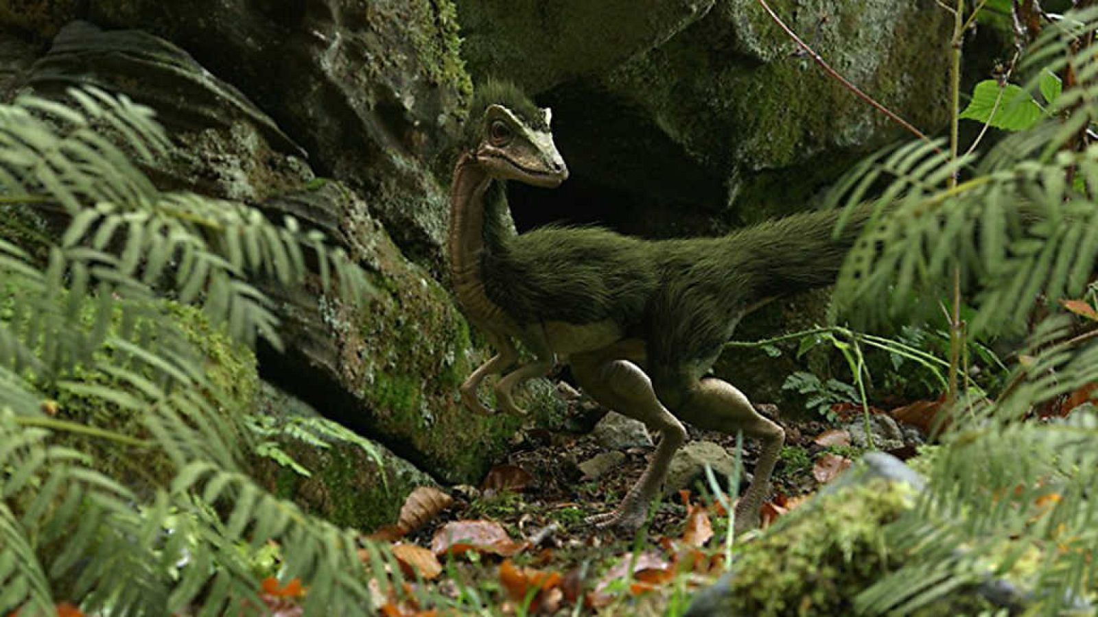 Documenta2 - 300 millones de años: La gran colisión - ver ahora