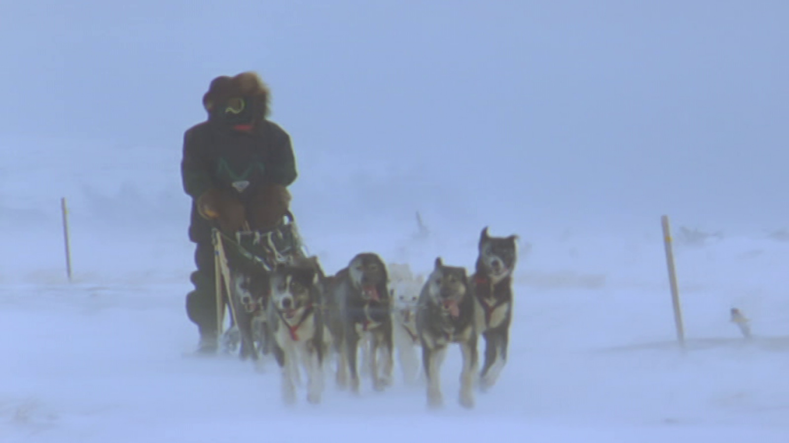 Al filo de lo imposible - El silencio blanco - Al filo de lo imposible | Ver