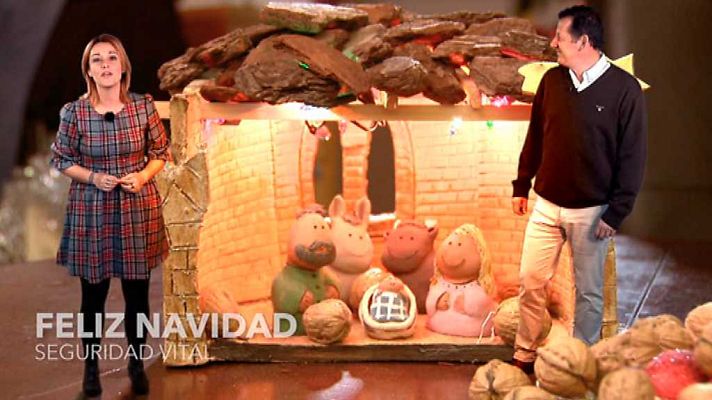 Seguridad vital 5.0 - Seguridad Vital - 24/12/17