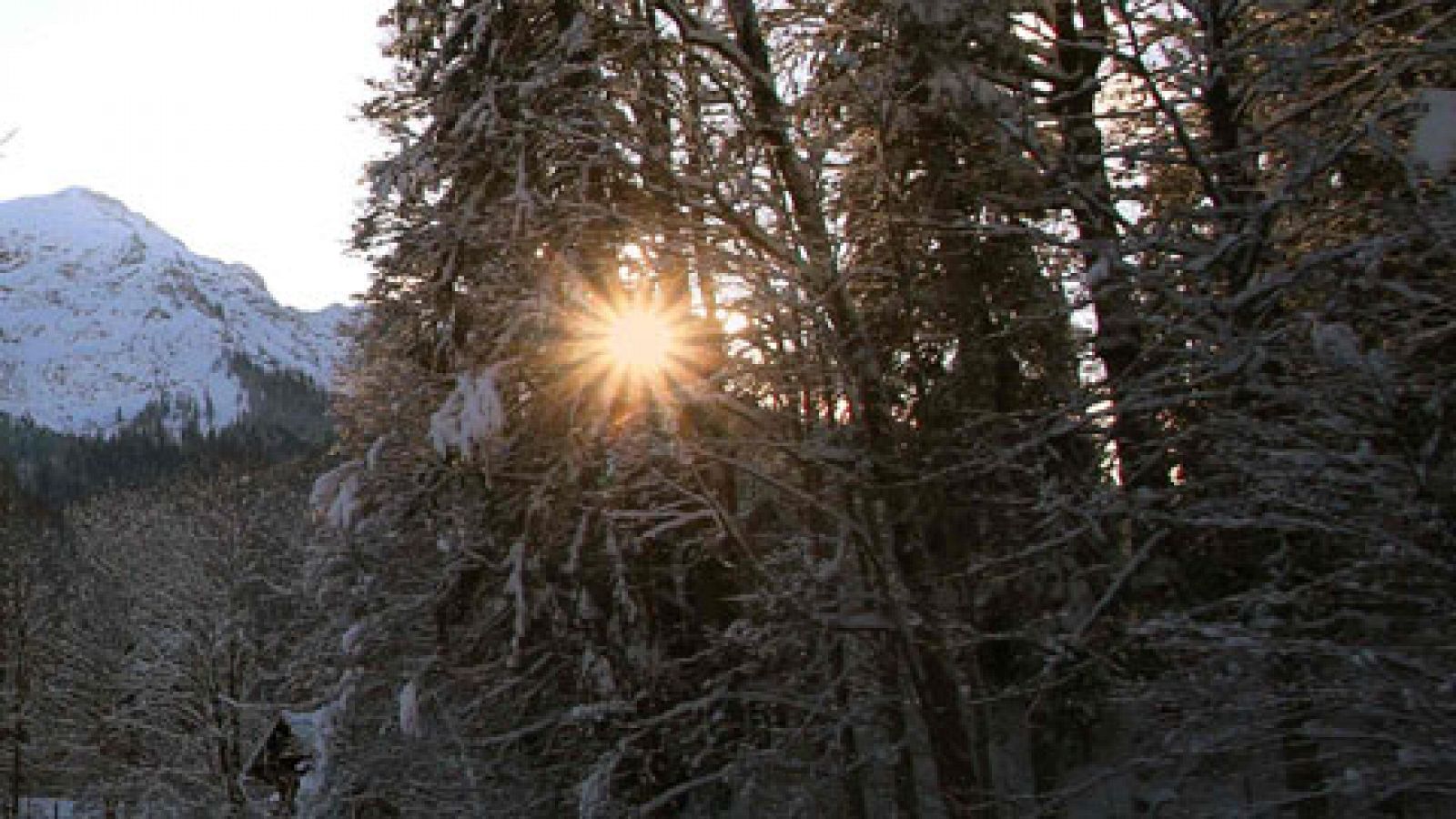 El tiempo: Temperaturas diurnas en ascenso en amplias zonas de la Península | RTVE Play