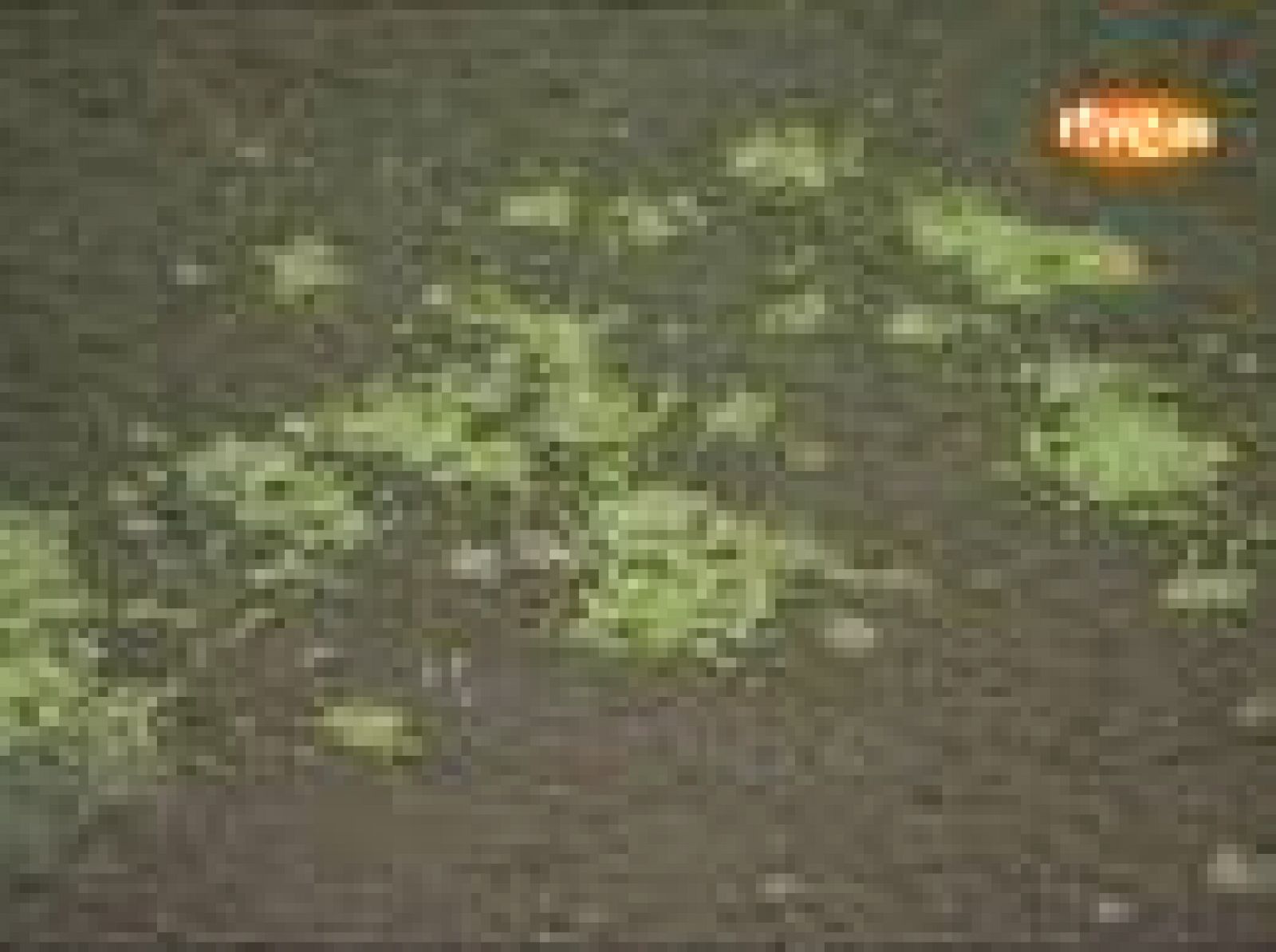 Un "baño" de ecologismo