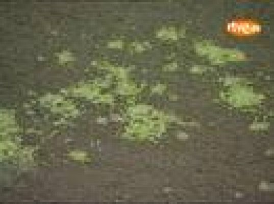  - Un 'baño' de ecologismo