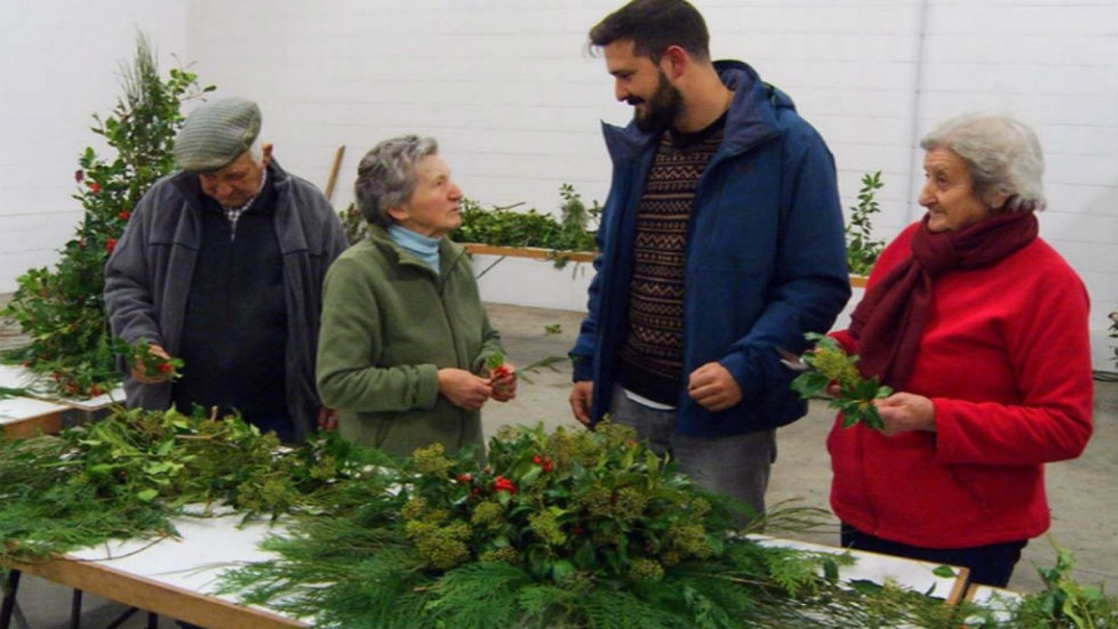 El acebo como forma de vida