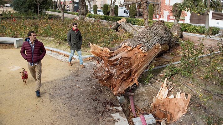 Telediario 1 - Telediario Matinal en 4' - 28/12/17