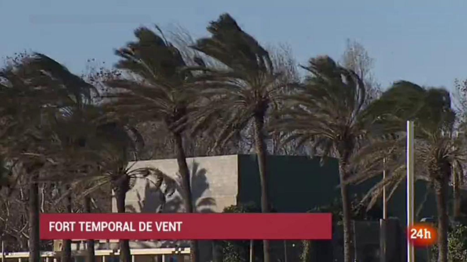 Vespre 24 - 27/12/2017