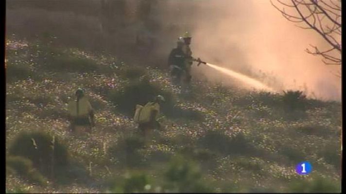 Informatiu Balear - Controlat l'incendi de Pollença.
