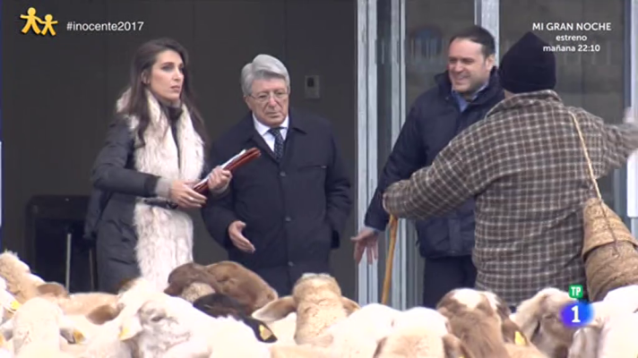 Enrique Cerezo impide que un rebaño entre en el estadio