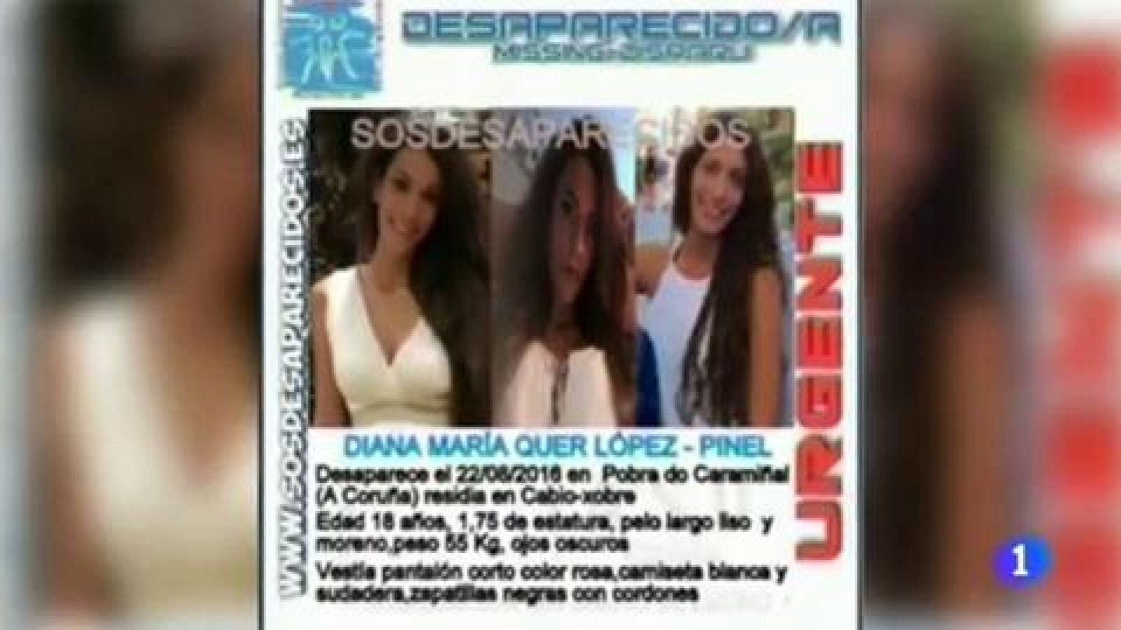 Telediario 1: Numerosos indicios relacionan a los detenidos en Boiro con la desaparición de Diana Quer | RTVE Play