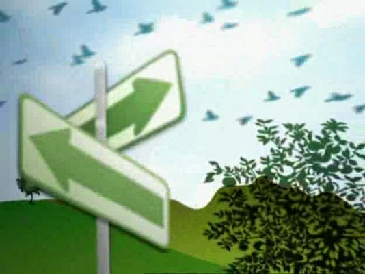 Actívate. El reto del bienestar - Actívate - El reto del bienestar - 06/03/09