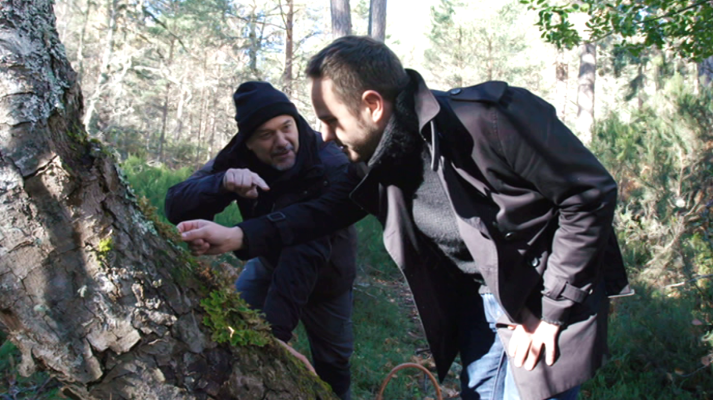 El señor de los bosques - Jorge Blass