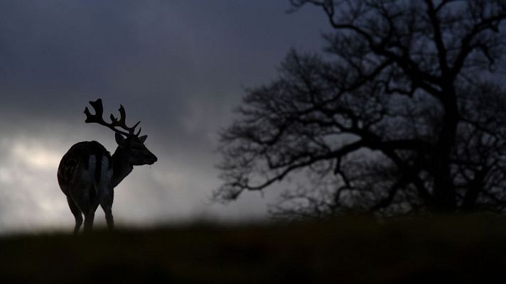 El tiempo - Temperaturas en descenso en buena parte de la Península