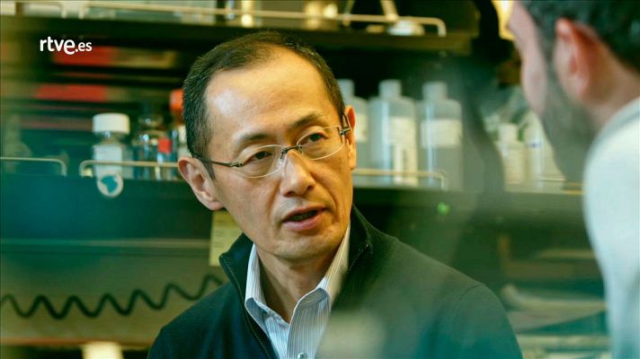 El cazador de cerebros - Entrevista a Shinya Yamanaka