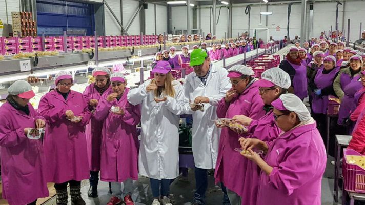 Aquí la Tierra - Las 12 uvas