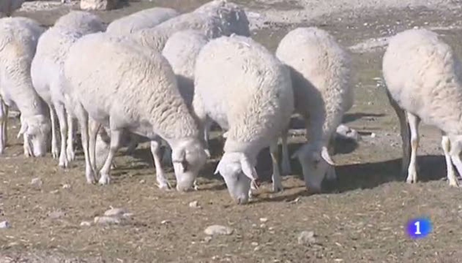 Noticias Aragón 2 - 03/01/2018 