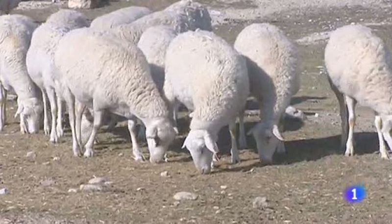 Noticias Aragón 2 - 03/01/2018 