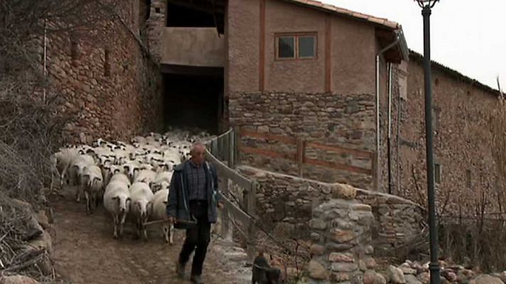 Agrosfera - Agrosfera - 06/01/18