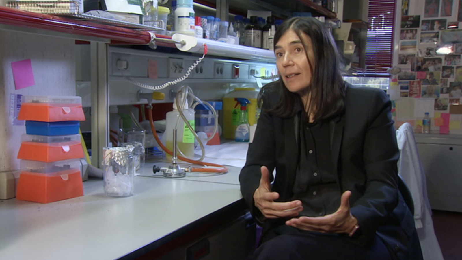 Informe Semanal - 2018, en femenino plural - ver ahora