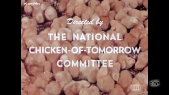 Gente viva - Los pollos del mañana (con audiodescripción)