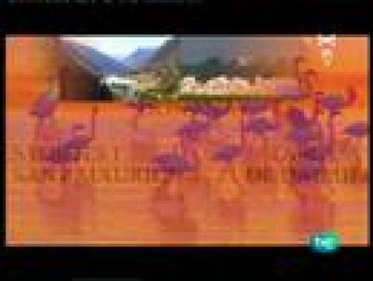 Espacios naturales - Cabañeros