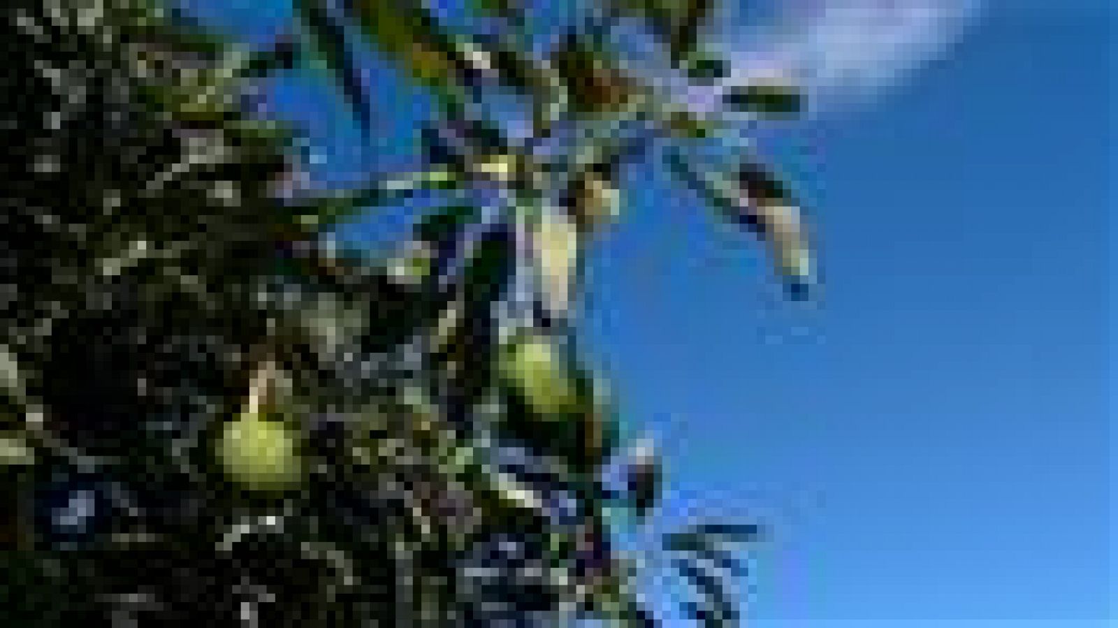 Canarias en 2' - 10/10/2018