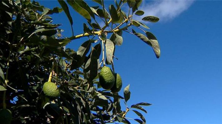 Telecanarias - Canarias en 2' - 10/10/2018