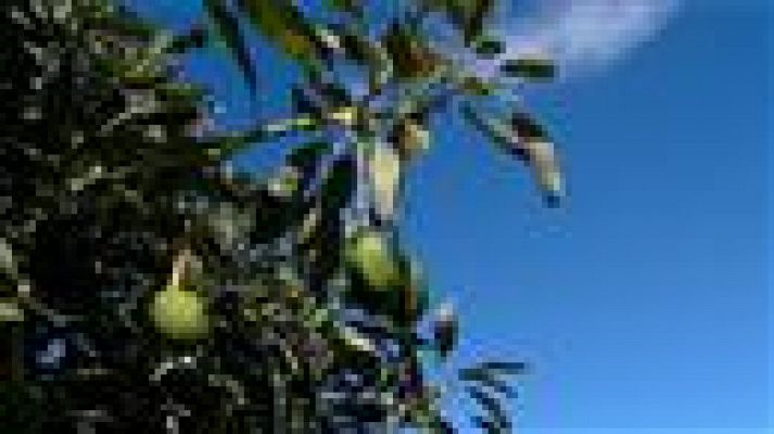 Telecanarias - Canarias en 2' - 10/10/2018