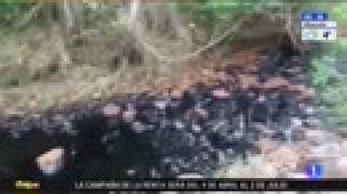 Telediario 1 - Santos suspende el diálogo con el ELN tras los últimos ataques de la guerrilla