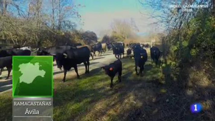 Aquí la Tierra - Trashumancia: un viaje heroico