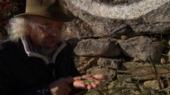 Aquí la Tierra - Una tregua para el estómago