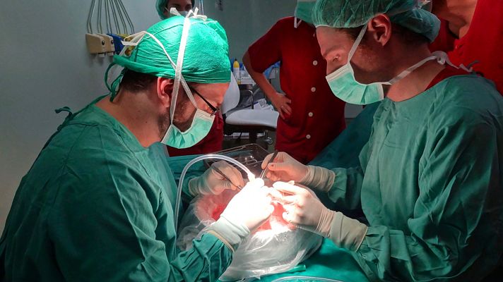  - España sigue como líder mundial en donaciones y trasplantes de órganos