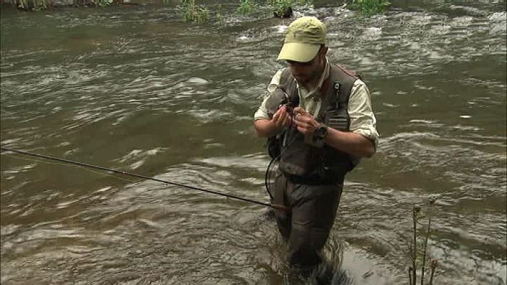 Pesca con campeones